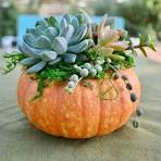 Pumpkin Succulent DIY Class